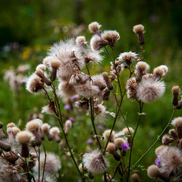 Deutschland, Germany, Hinterland, Lahn-Dill-Bergland