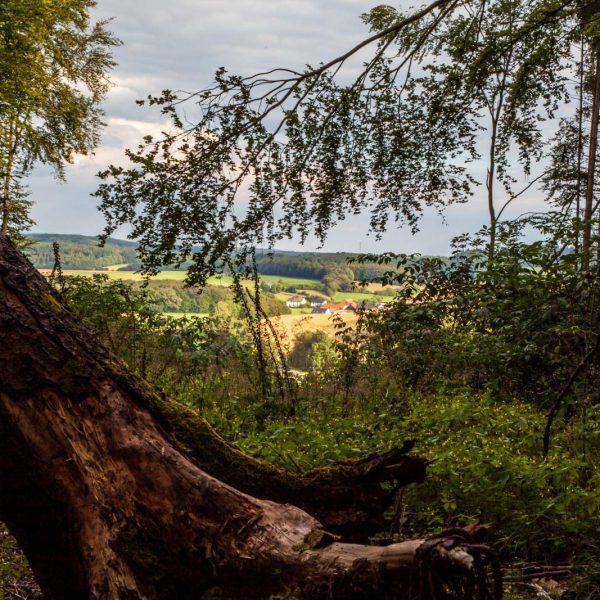 Deutschland, Europa, Europe, Germany, Gladenbach, Hessen, Hessia, Hinterland, Lahn-Dill-Bergland, Location, Ort, Runzhausen