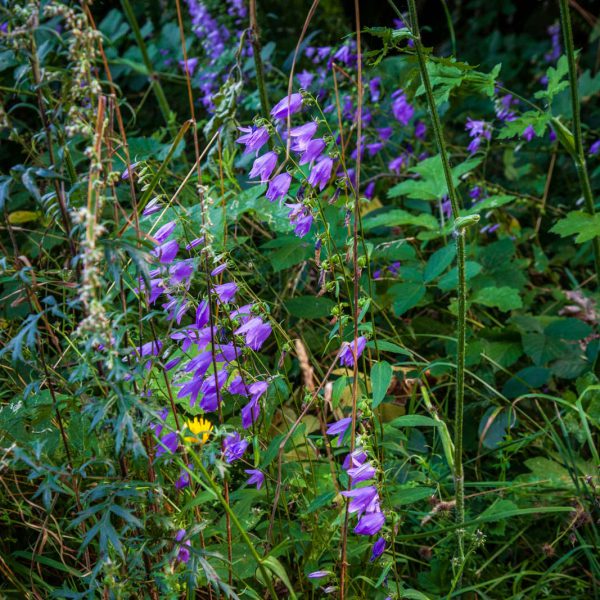 Deutschland, Germany, Hinterland, Lahn-Dill-Bergland