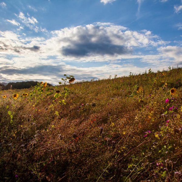 Deutschland, Germany, Hinterland, Lahn-Dill-Bergland