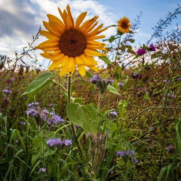 Deutschland, Germany, Hinterland, Lahn-Dill-Bergland