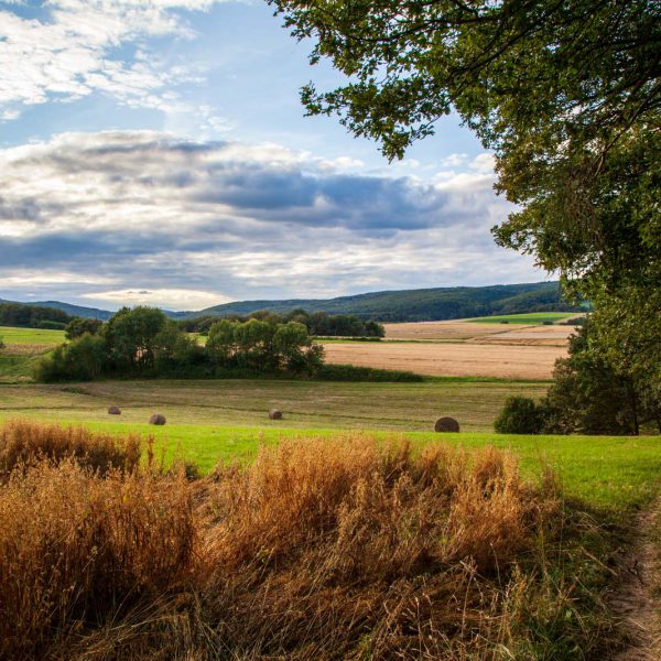Deutschland, Germany, Hinterland, Lahn-Dill-Bergland