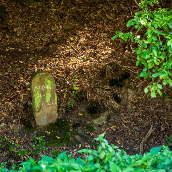 Deutschland, Europa, Europe, Extratour, Germany, Gladenbach, Hessen, Hessia, Hinterland, Lahn-Dill-Bergland, Location, Ort, Siummer, Sommer, Wandern