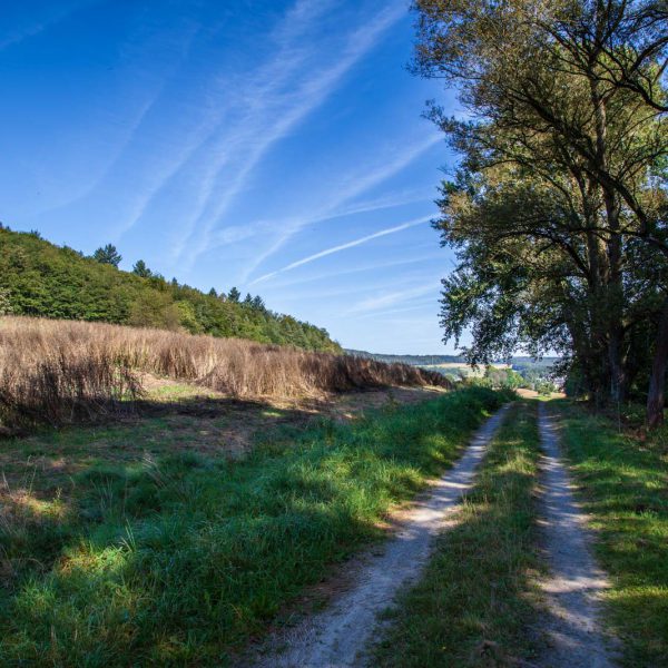 Deutschland, Europa, Europe, Extratour, Germany, Gladenbach, Hessen, Hessia, Hinterland, Lahn-Dill-Bergland, Location, Ort, Siummer, Sommer, Wandern