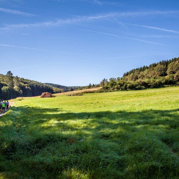 Deutschland, Europa, Europe, Extratour, Germany, Gladenbach, Hessen, Hessia, Hinterland, Lahn-Dill-Bergland, Location, Ort, Siummer, Sommer, Wandern