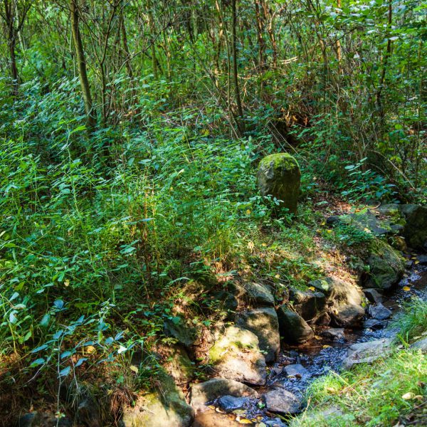 Deutschland, Europa, Europe, Extratour, Germany, Gladenbach, Hessen, Hessia, Hinterland, Lahn-Dill-Bergland, Location, Ort, Siummer, Sommer, Wandern