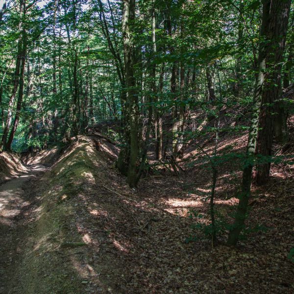 Deutschland, Europa, Europe, Extratour, Germany, Gladenbach, Hessen, Hessia, Hinterland, Lahn-Dill-Bergland, Location, Ort, Siummer, Sommer, Wandern