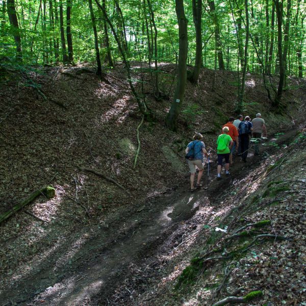 Deutschland, Europa, Europe, Extratour, Germany, Gladenbach, Hessen, Hessia, Hinterland, Lahn-Dill-Bergland, Location, Ort, Siummer, Sommer, Wandern