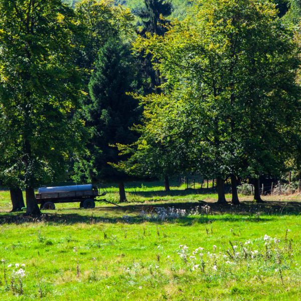 Deutschland, Europa, Europe, Extratour, Germany, Gladenbach, Hessen, Hessia, Hinterland, Lahn-Dill-Bergland, Location, Ort, Siummer, Sommer, Wandern