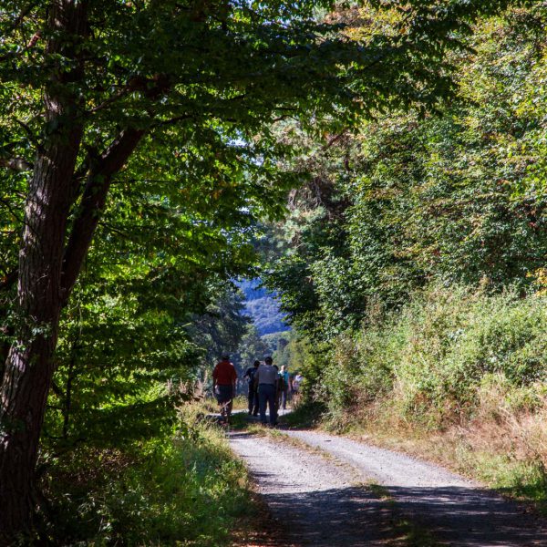 Deutschland, Europa, Europe, Extratour, Germany, Gladenbach, Hessen, Hessia, Hinterland, Lahn-Dill-Bergland, Location, Ort, Siummer, Sommer, Wandern