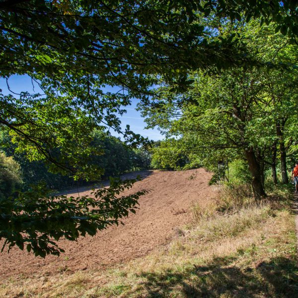 Deutschland, Europa, Europe, Extratour, Germany, Gladenbach, Hessen, Hessia, Hinterland, Lahn-Dill-Bergland, Location, Ort, Siummer, Sommer, Wandern