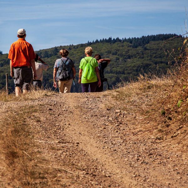 Deutschland, Europa, Europe, Extratour, Germany, Gladenbach, Hessen, Hessia, Hinterland, Lahn-Dill-Bergland, Location, Ort, Siummer, Sommer, Wandern