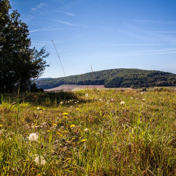 Deutschland, Europa, Europe, Extratour, Germany, Gladenbach, Hessen, Hessia, Hinterland, Lahn-Dill-Bergland, Location, Ort, Siummer, Sommer, Wandern