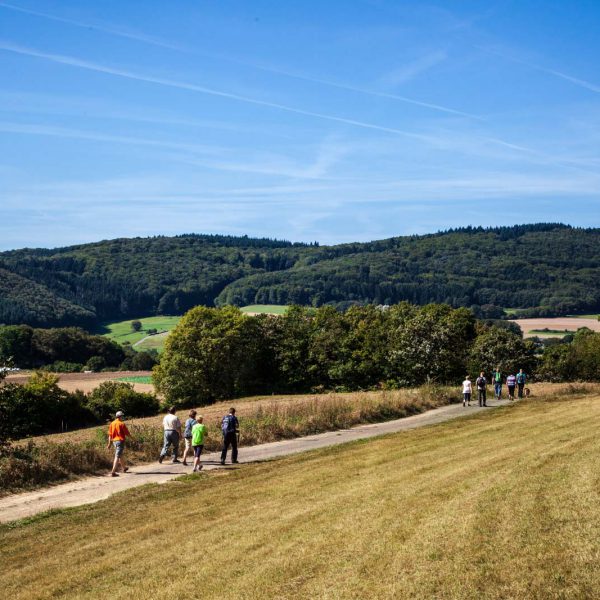 Deutschland, Europa, Europe, Extratour, Germany, Gladenbach, Hessen, Hessia, Hinterland, Lahn-Dill-Bergland, Location, Ort, Siummer, Sommer, Wandern