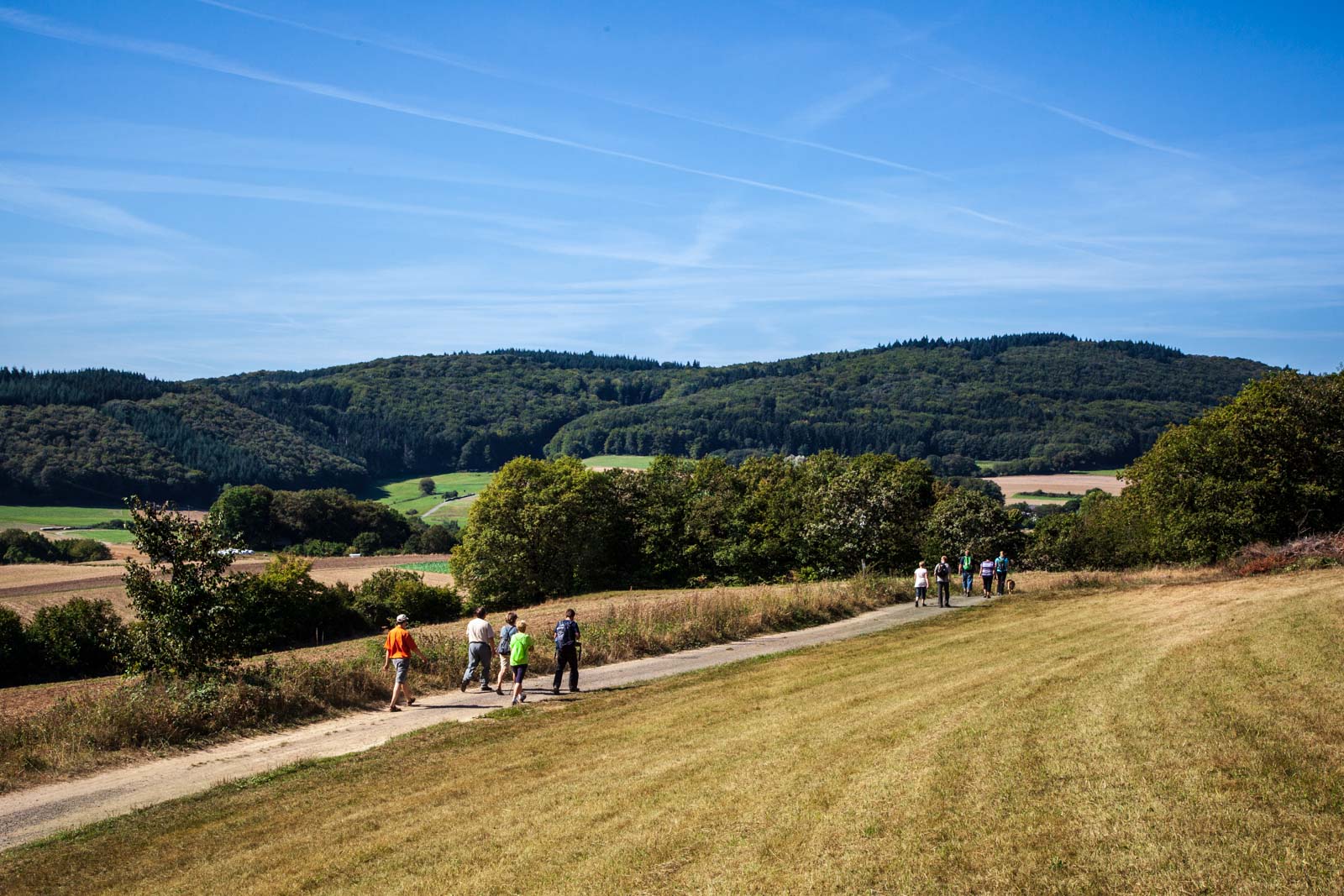 Deutschland, Europa, Europe, Extratour, Germany, Gladenbach, Hessen, Hessia, Hinterland, Lahn-Dill-Bergland, Location, Ort, Siummer, Sommer, Wandern