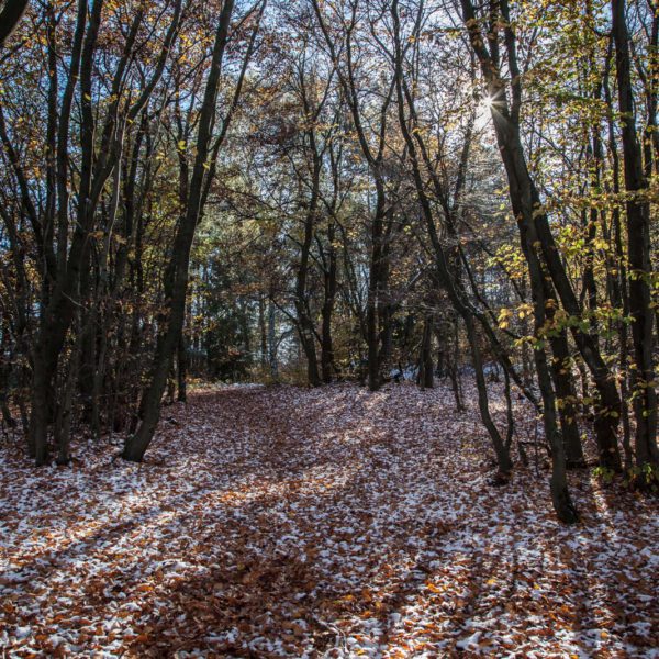 Deutschland, Germany, Herbst, Hinterland, Lahn-Dill-Bergland, autumn