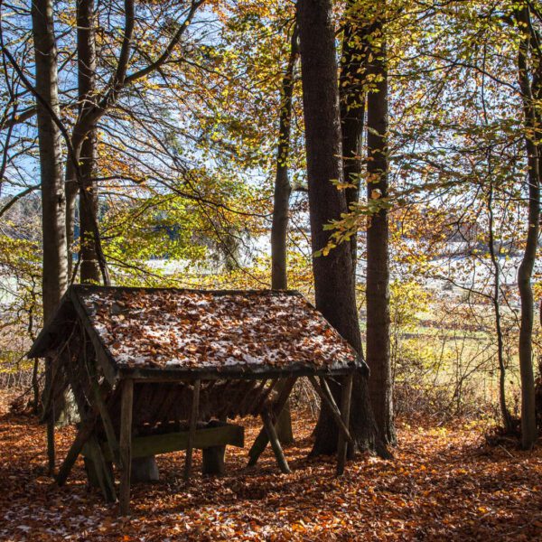 Deutschland, Germany, Herbst, Hinterland, Lahn-Dill-Bergland, autumn