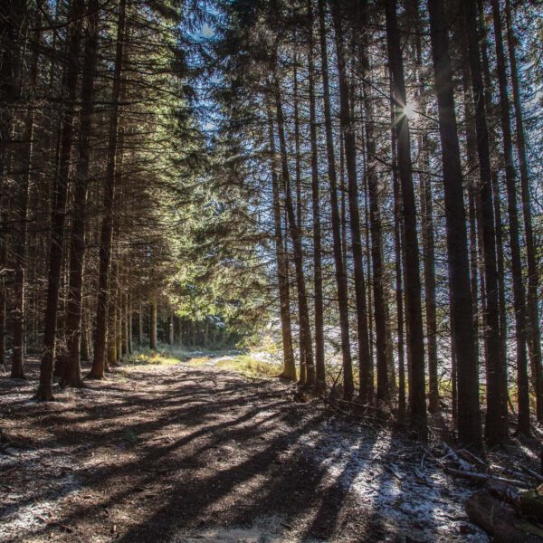 Deutschland, Germany, Herbst, Hinterland, Lahn-Dill-Bergland, autumn