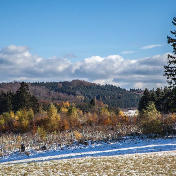 Deutschland, Germany, Herbst, Hinterland, Lahn-Dill-Bergland, autumn