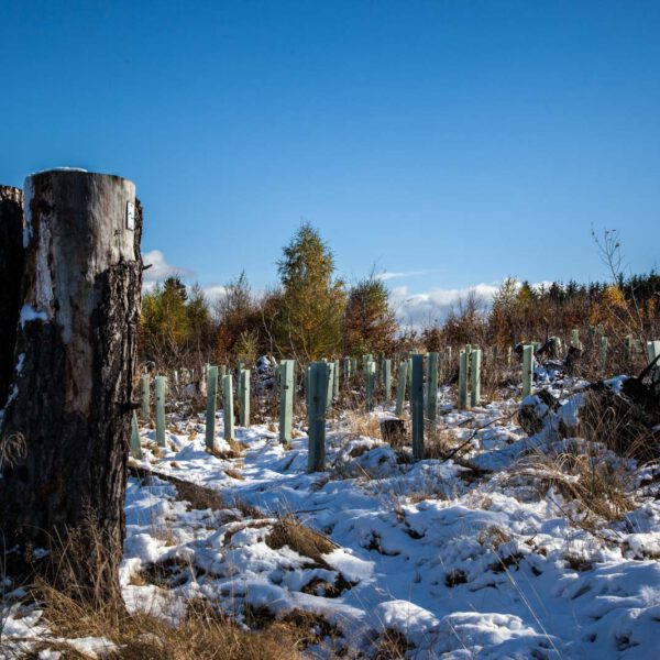 Deutschland, Germany, Herbst, Hinterland, Lahn-Dill-Bergland, autumn