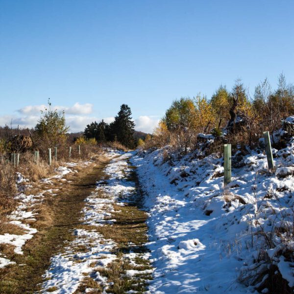 Deutschland, Germany, Herbst, Hinterland, Lahn-Dill-Bergland, autumn