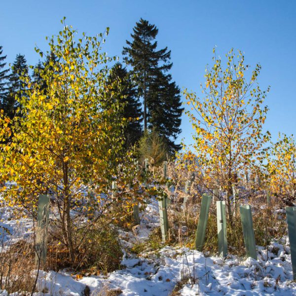 Deutschland, Germany, Herbst, Hinterland, Lahn-Dill-Bergland, autumn