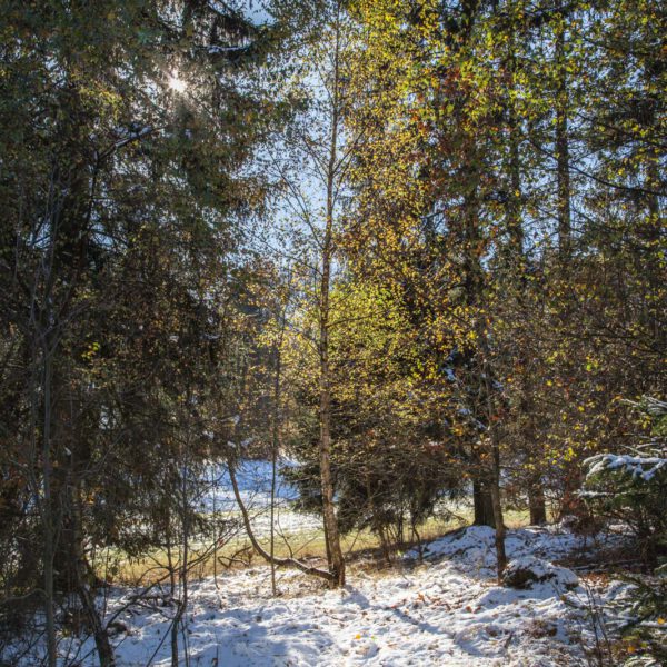Deutschland, Germany, Herbst, Hinterland, Lahn-Dill-Bergland, autumn