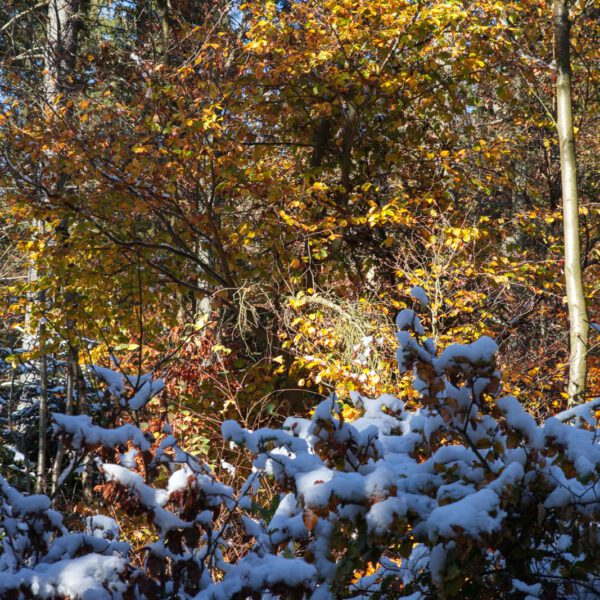 Deutschland, Germany, Herbst, Hinterland, Lahn-Dill-Bergland, autumn