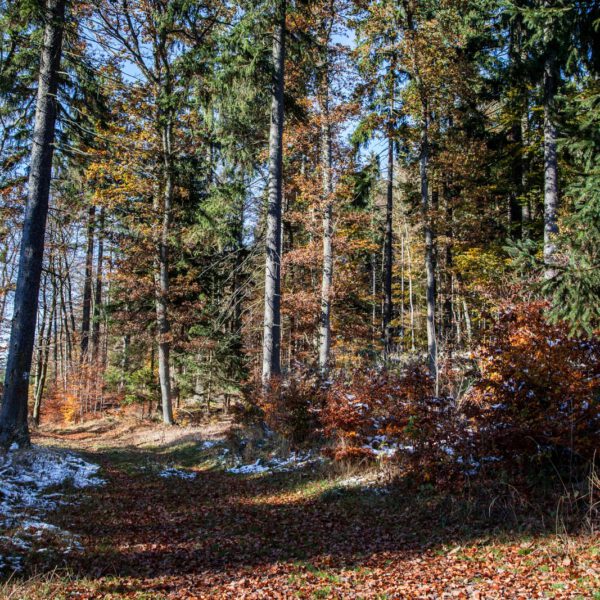 Deutschland, Germany, Herbst, Hinterland, Lahn-Dill-Bergland, autumn