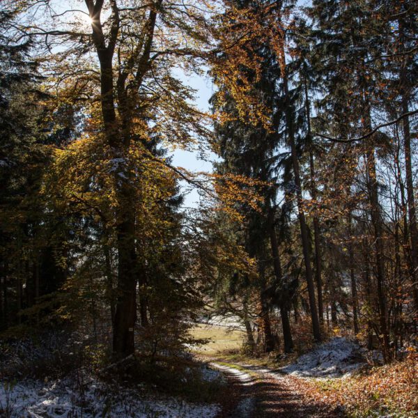 Deutschland, Germany, Herbst, Hinterland, Lahn-Dill-Bergland, autumn