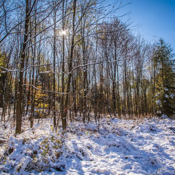 Deutschland, Germany, Herbst, Hinterland, Lahn-Dill-Bergland, autumn