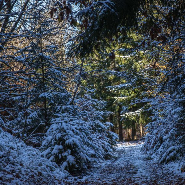 Deutschland, Germany, Herbst, Hinterland, Lahn-Dill-Bergland, autumn