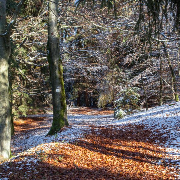 Deutschland, Germany, Herbst, Hinterland, Lahn-Dill-Bergland, autumn