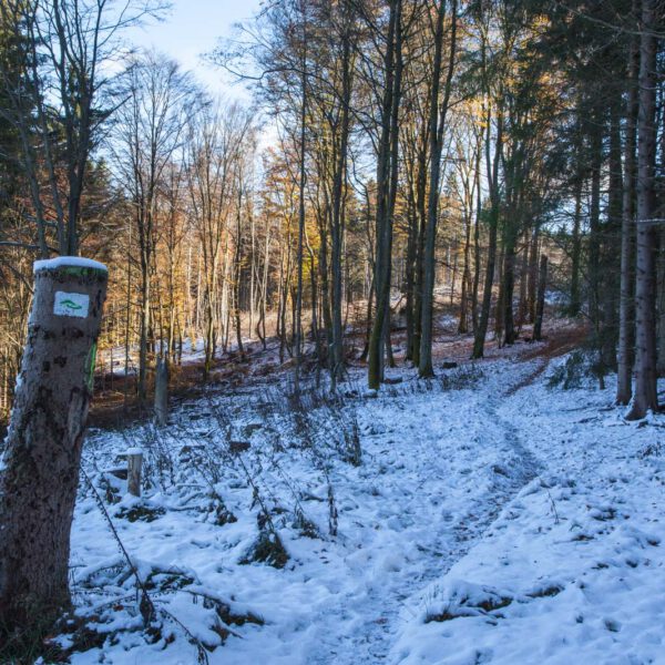 Deutschland, Germany, Herbst, Hinterland, Lahn-Dill-Bergland, autumn