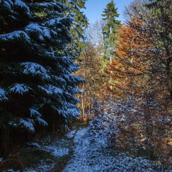 Deutschland, Germany, Herbst, Hinterland, Lahn-Dill-Bergland, autumn