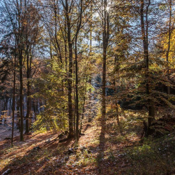 Deutschland, Germany, Herbst, Hinterland, Lahn-Dill-Bergland, autumn