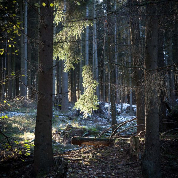 Deutschland, Germany, Herbst, Hinterland, Lahn-Dill-Bergland, autumn