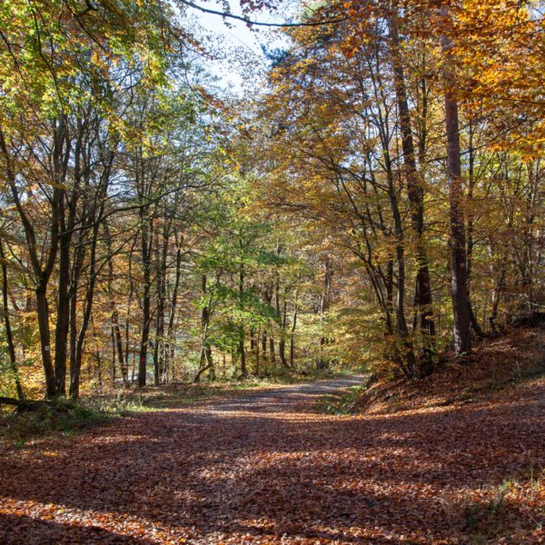 Deutschland, Germany, Herbst, Hinterland, Lahn-Dill-Bergland, autumn
