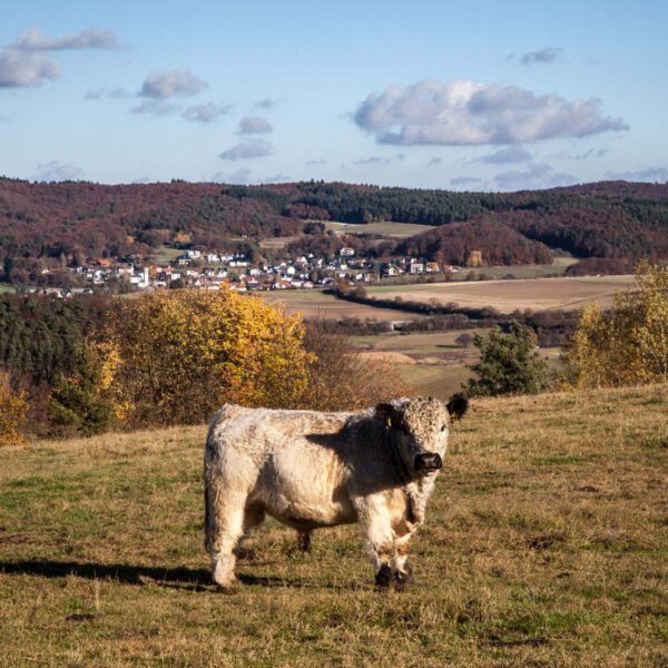 Deutschland, Germany, Herbst, Hinterland, Lahn-Dill-Bergland, autumn