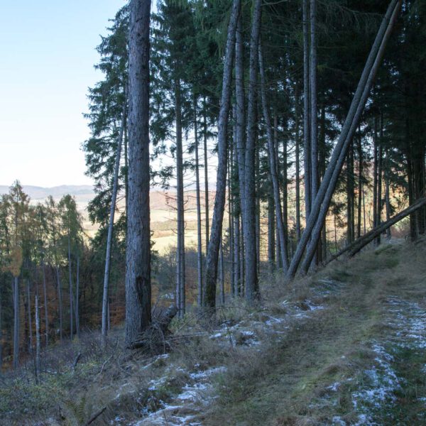 Deutschland, Germany, Herbst, Hinterland, Lahn-Dill-Bergland, autumn