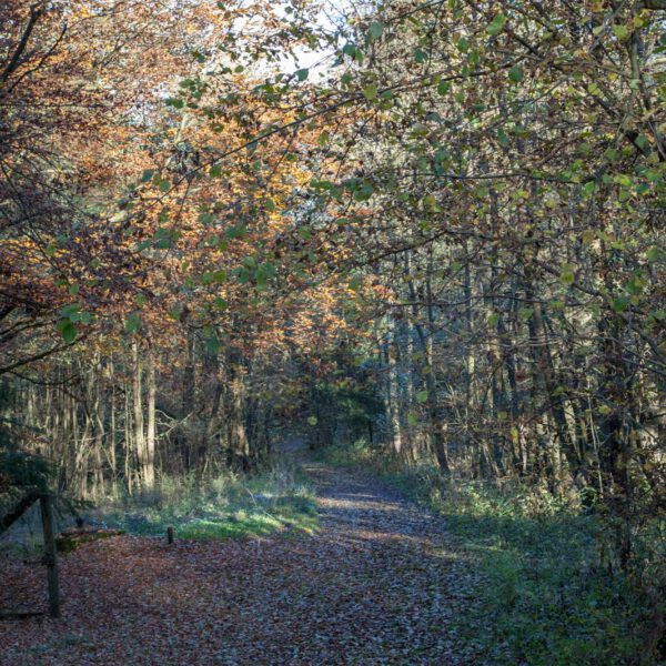 Deutschland, Germany, Herbst, Hinterland, Lahn-Dill-Bergland, autumn