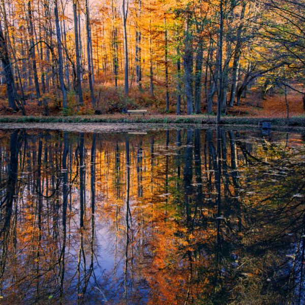 Deutschland, Germany, Herbst, Hinterland, Lahn-Dill-Bergland, autumn