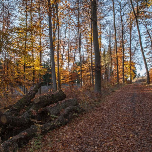 Deutschland, Germany, Herbst, Hinterland, Lahn-Dill-Bergland, autumn
