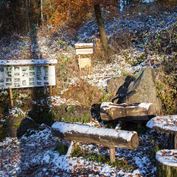 Deutschland, Germany, Herbst, Hinterland, Lahn-Dill-Bergland, autumn