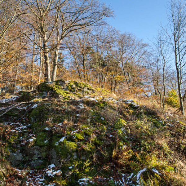 Deutschland, Germany, Herbst, Hinterland, Lahn-Dill-Bergland, autumn