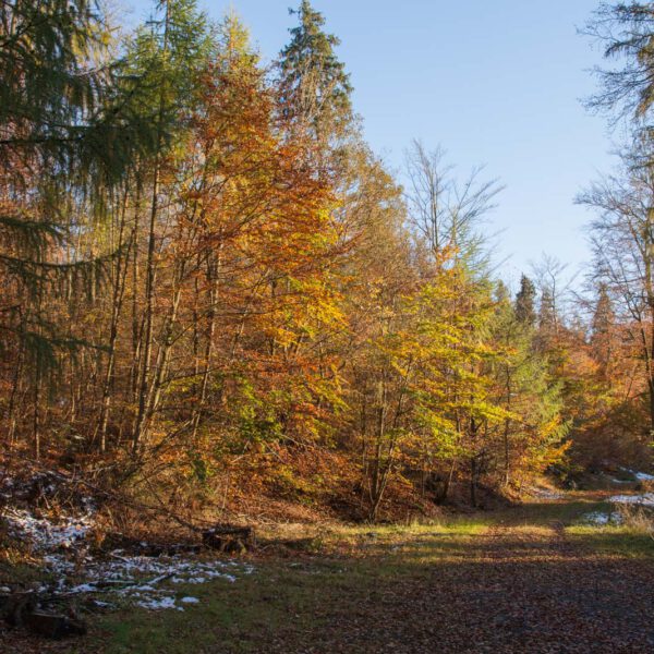Deutschland, Germany, Herbst, Hinterland, Lahn-Dill-Bergland, autumn