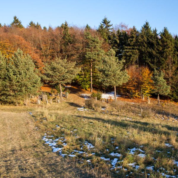 Deutschland, Germany, Herbst, Hinterland, Lahn-Dill-Bergland, autumn