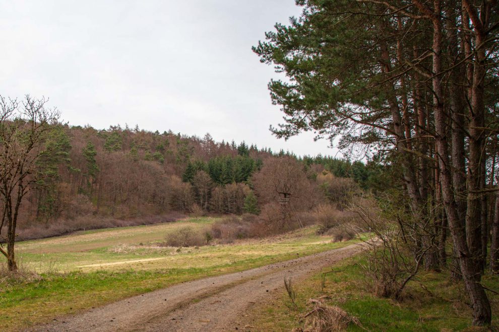 Deutschland, Frühling, Germany, Hinterland, Lahn-Dill-Bergland, Spring