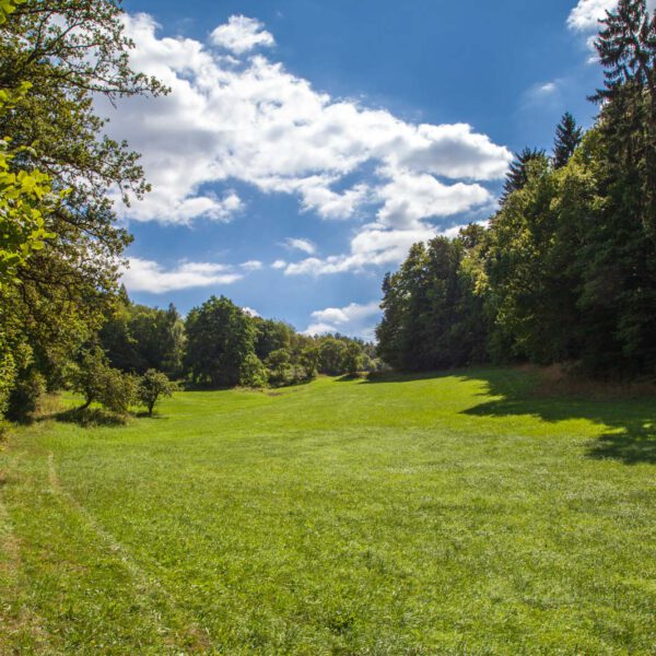 Deutschland, Germany, Hinterland, Lahn-Dill-Bergland, Sommer, Summer