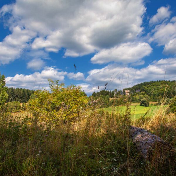 Deutschland, Germany, Hinterland, Lahn-Dill-Bergland, Sommer, Summer